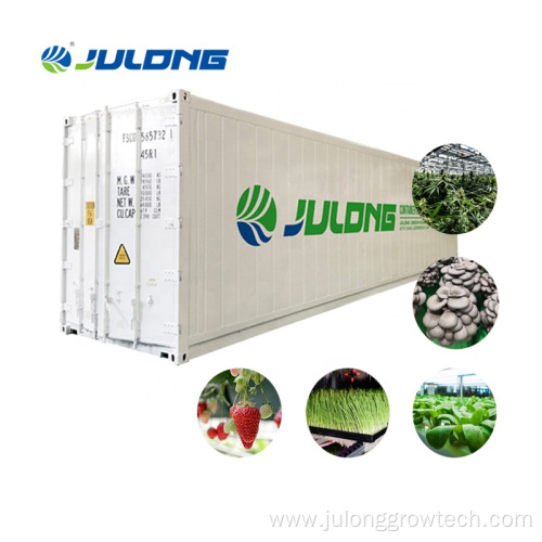 40ft Shipping Container Hemp Growing Container Greenhouse